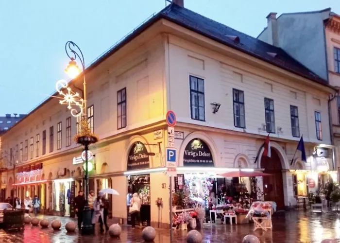 Lägenhet Budapestayz - Erkel Budapest