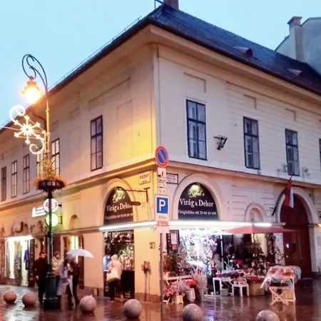 Apartment Erkelh Budapest